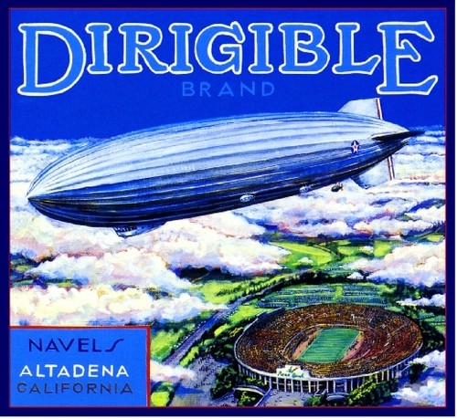 Pasadena dirigible blimp - dirigible,